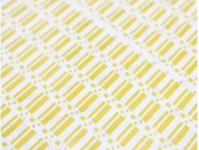 1592375343572753.png -6.png